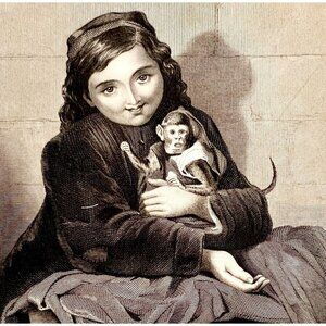 Pet Monkeys Cute Girl Steel Engraving 1859 Victorian Animals Primates Art DWY5D